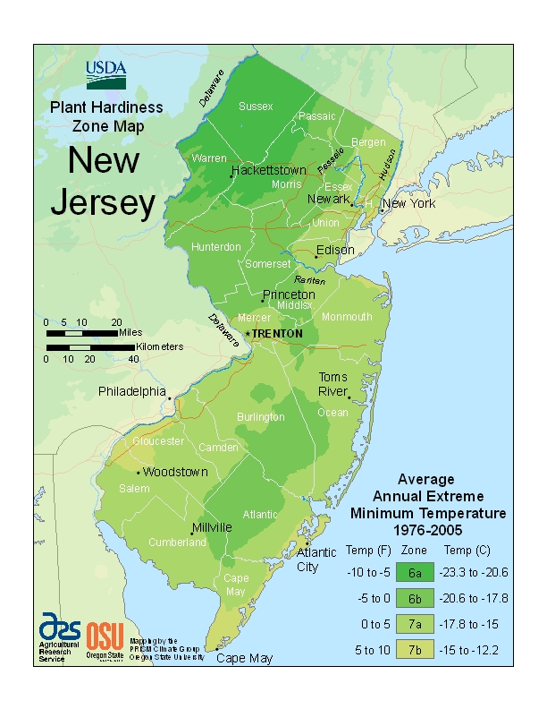 new jersey planting zone map