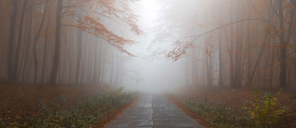 9 Myths About Cremation