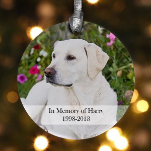 12 heartwarming pet memorial gift ideas urns online