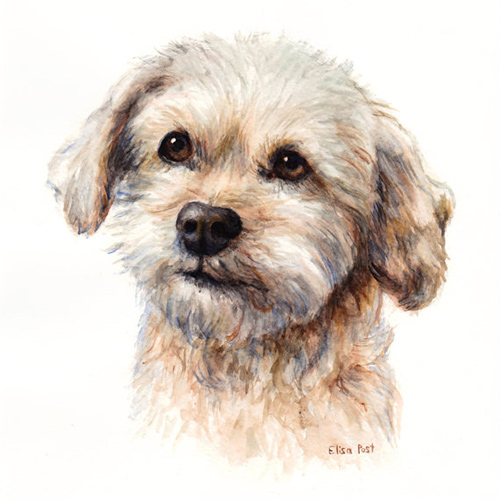 Pet Sympathy Gifts & Memorials: Custom Pet Portrait