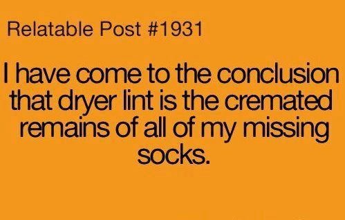 Missing Socks Cremation