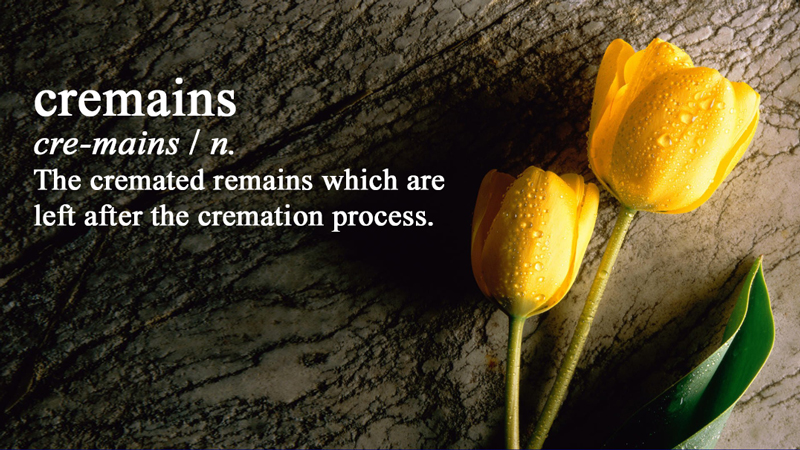 Cremains Definition