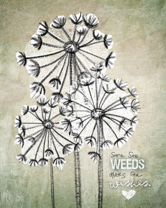 Some see weeds