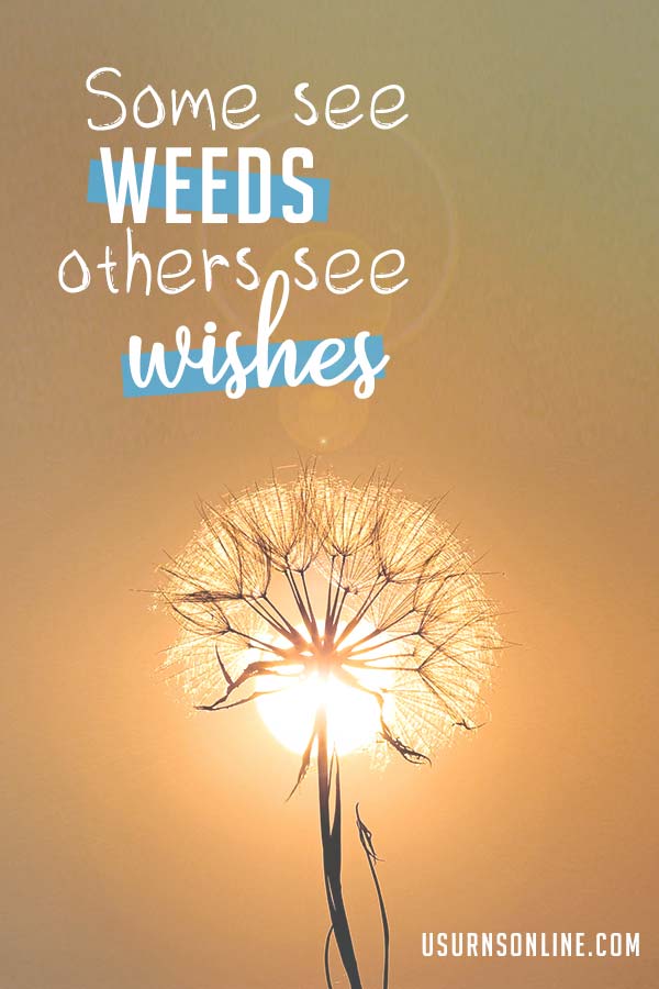 Some see weeds, others see wishes (dandelion quote)