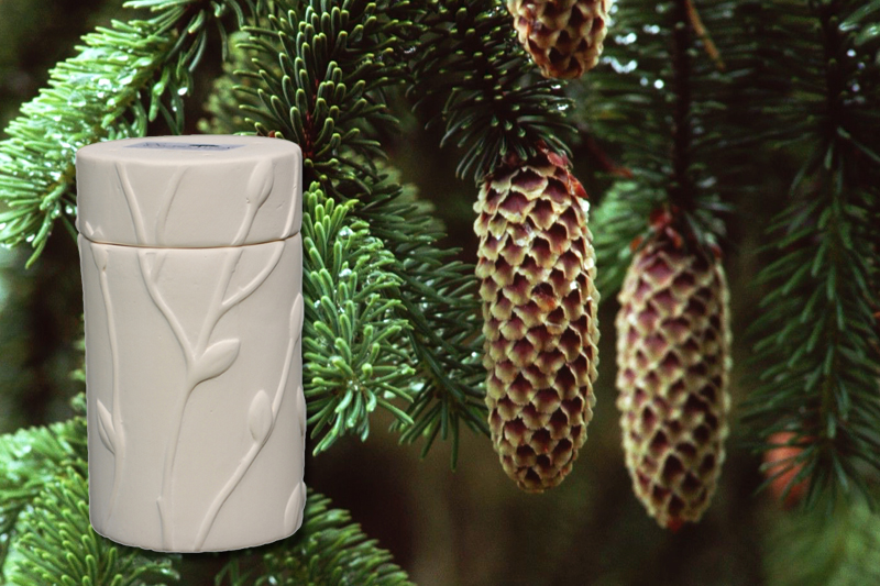 The Best Memorial Tree Urns For Your State Since These Are Living Memorials Which Used Out In Nature Various Regions At Times And Ways We Field Quite A Few Questions