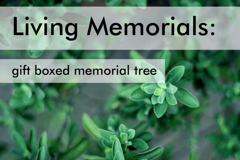 Living Memorial Gifts