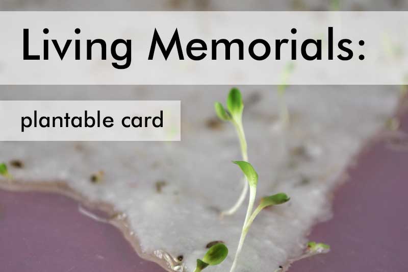 Plantable Card