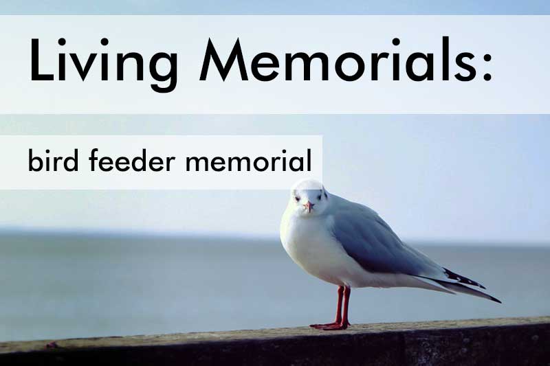 Living Memorial Gift Ideas