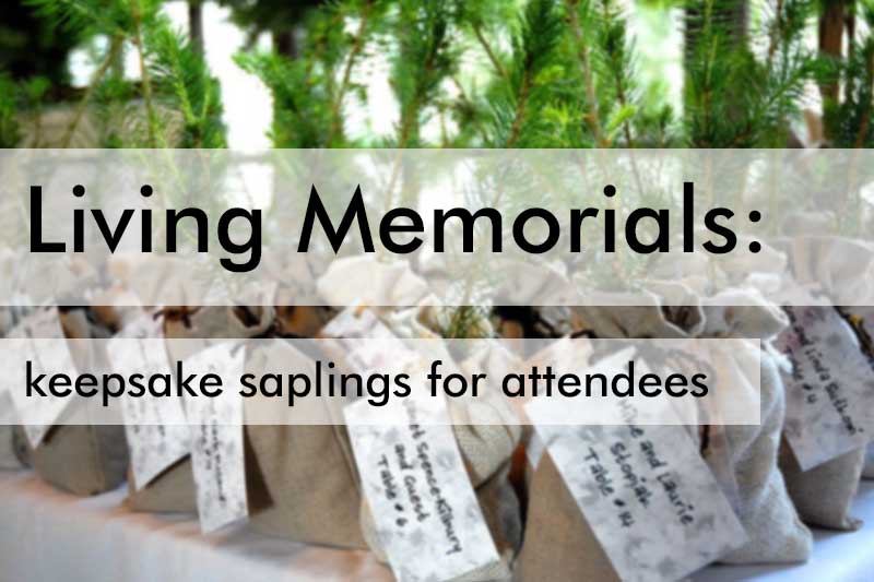 Keepsake Saplings