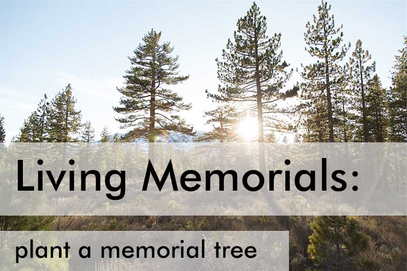Living Memorial Ideas