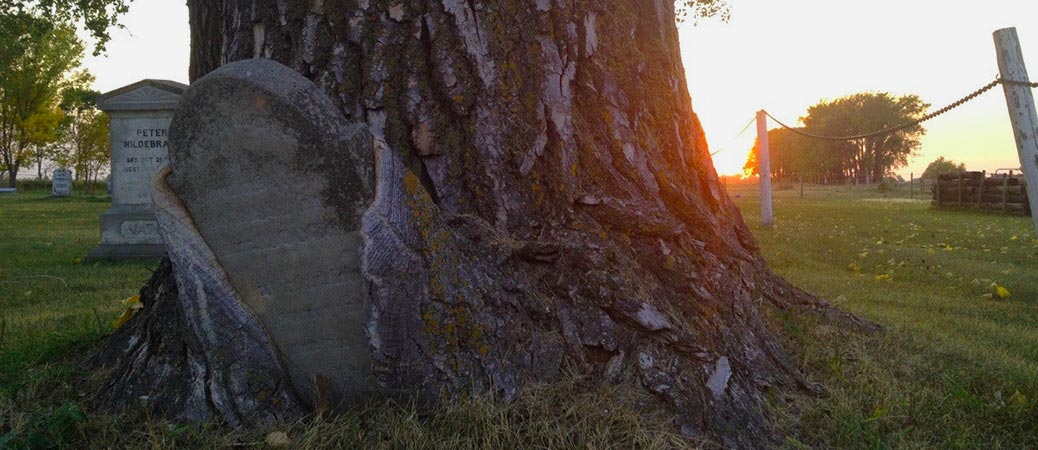 Interesting images of funerals and cemeteries