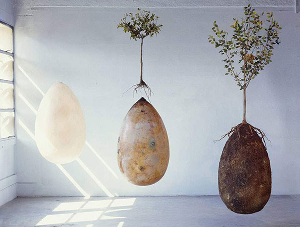 Burial Pods to Grow Trees