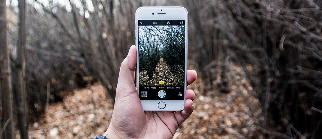 What will the cemeteries of the future look like?