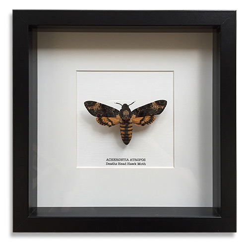 Framed Art Gifts for Funeral Directors & Morticians