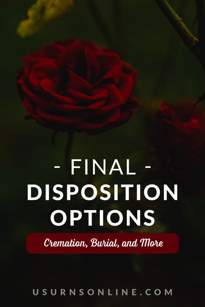 Final Disposition Options