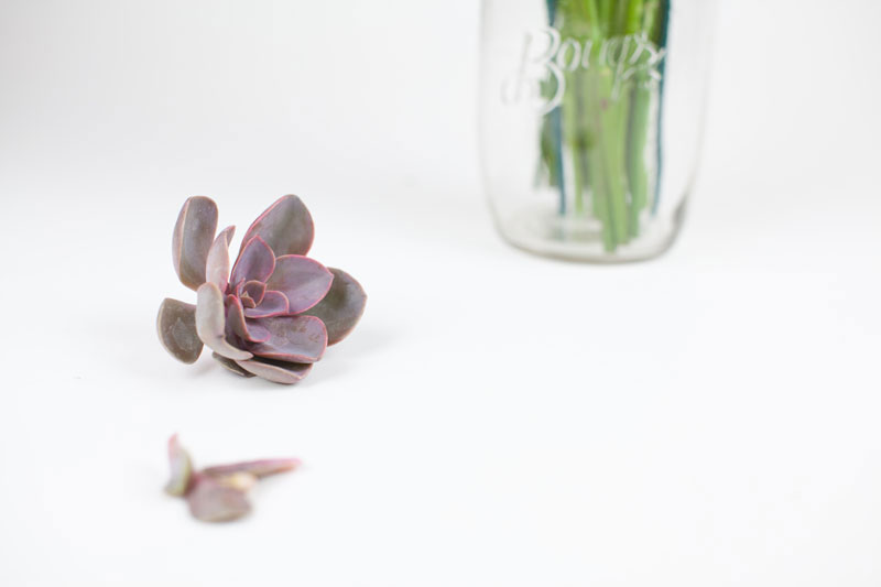 Sympathy Flowers Unboxing