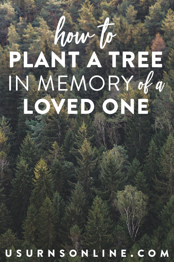 How to plant a tree in memory of a loved one