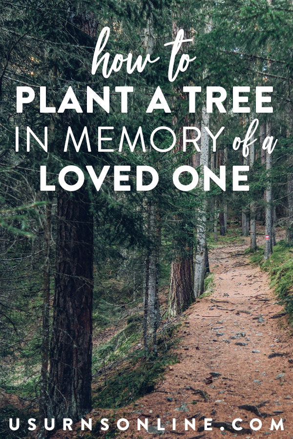 Plant a Tree In Memory of a Loved One