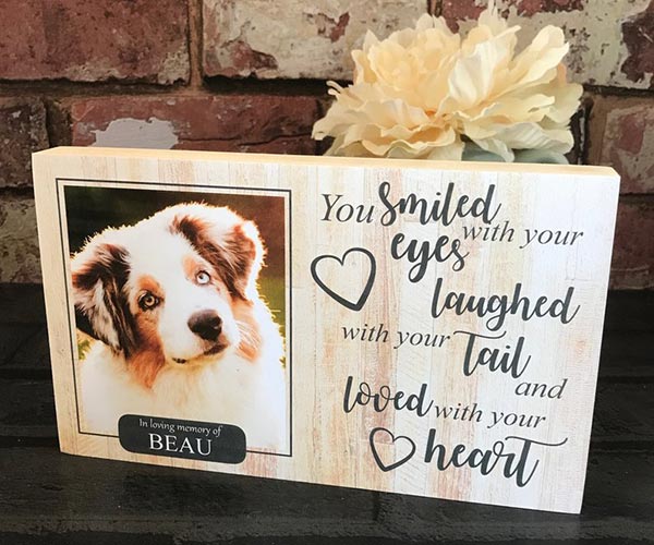 Pet Loss Quotes