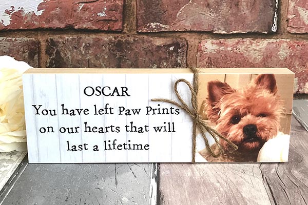 Pet Loss Quotes, Poems & More to Honor Your Furry Friend