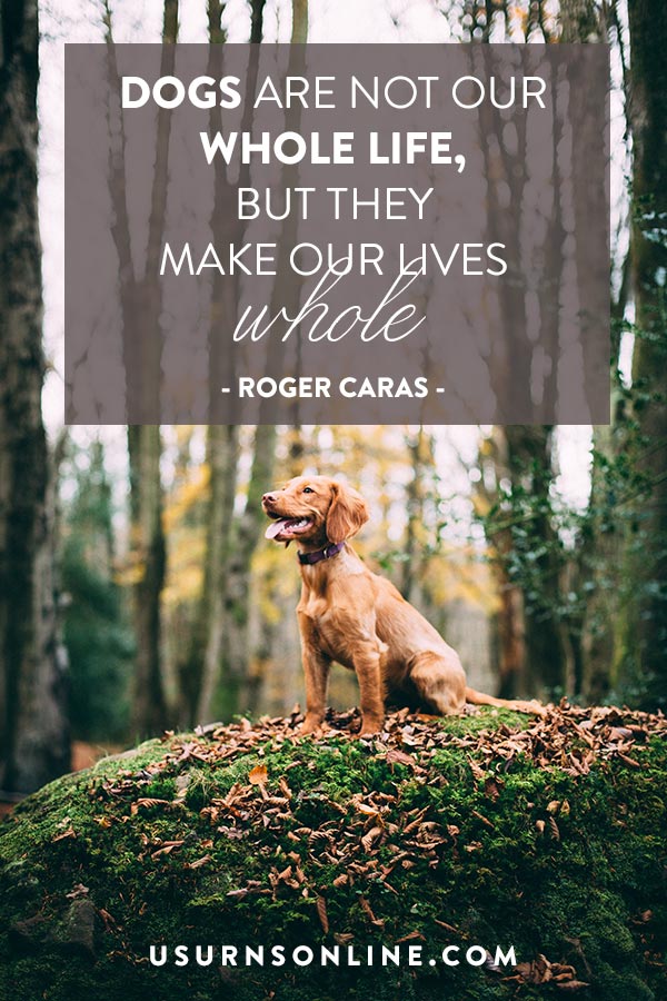 Dogs make our lives whole quote