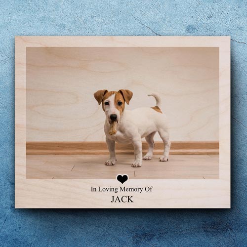 Pet Photo Frames