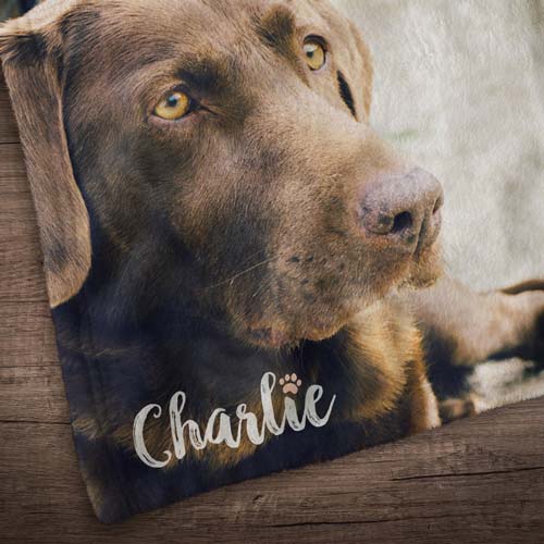 Fleece Pet Photo Blanket - Custom Photo & Name