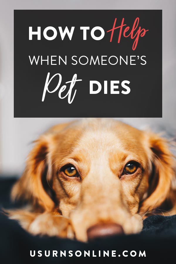 How to help a friend whose pet has dies