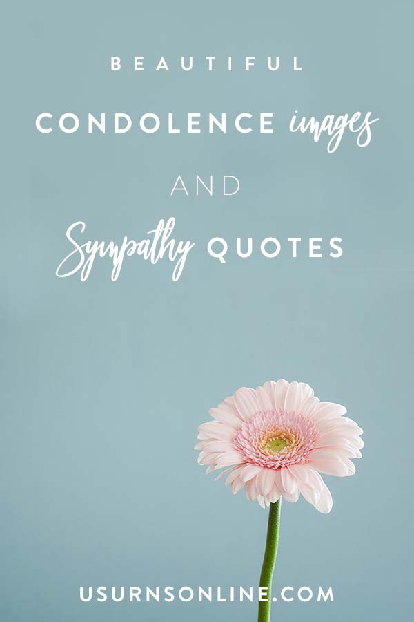Sympathy Quotes