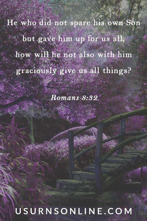 He who did not spare his own Son but gave him up for us all, how will he not also with him graciously give us all things?