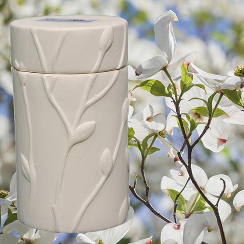 Biodegradable urn for planting cremated remains