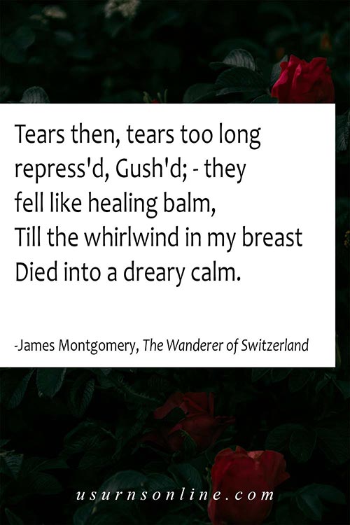 Quotes Over Grief- James Montgomery, The Wanderer of Switzerland