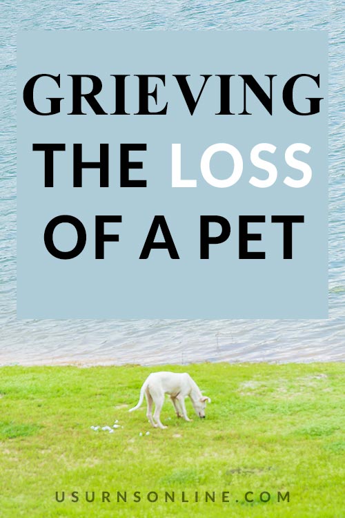 What to Do When Grieving the Loss of a Pet