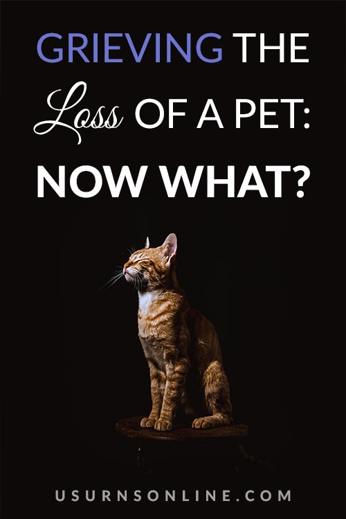 Grieving Our Pets: Now What?