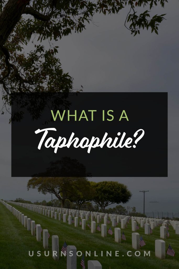 Taphophile - feature image