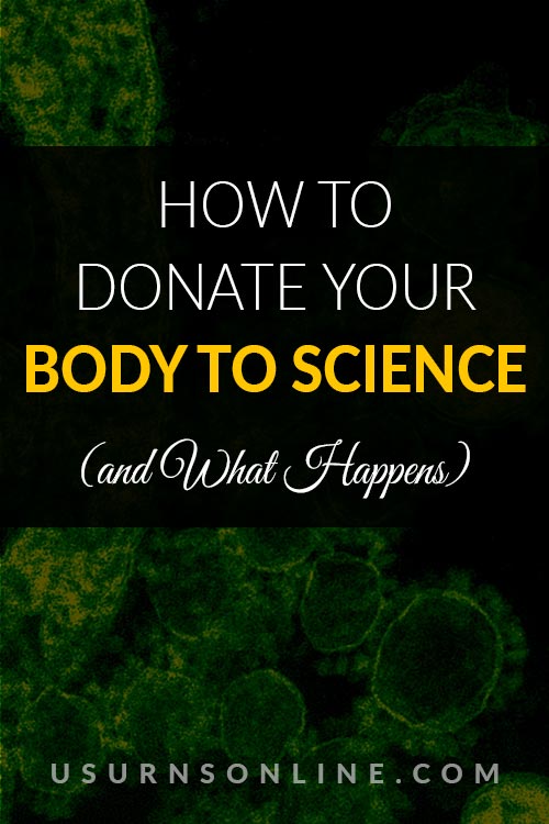 How To Donate Your Body to Science?