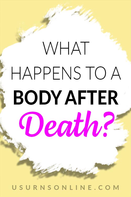 What Happens When You Die?