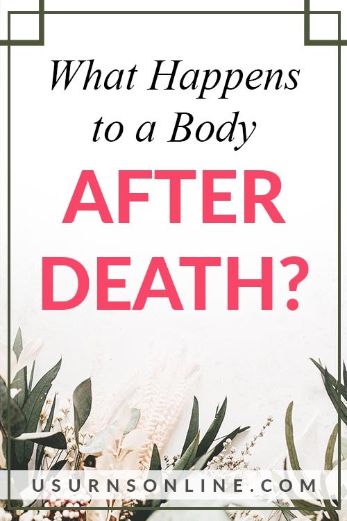 What Happens to a Body After Death?