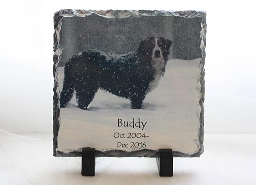 Rock Slate Photo - Pet Memorial Gift