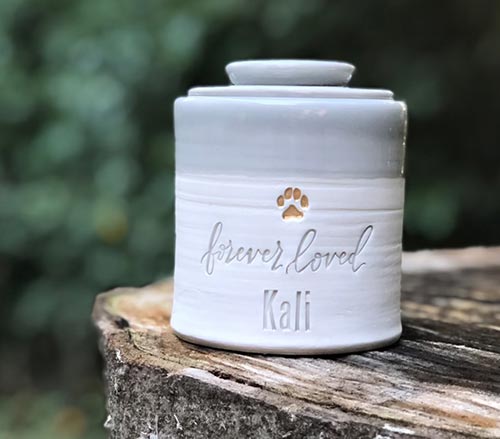 Minimalistic Jar Pet Urn