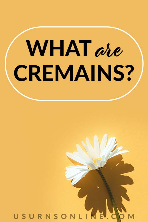 What are Cremains- Feat