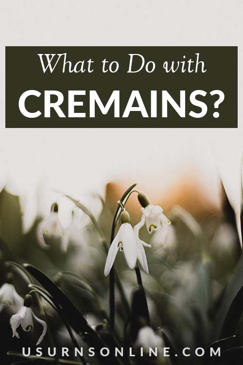 What are Cremains- Pin It