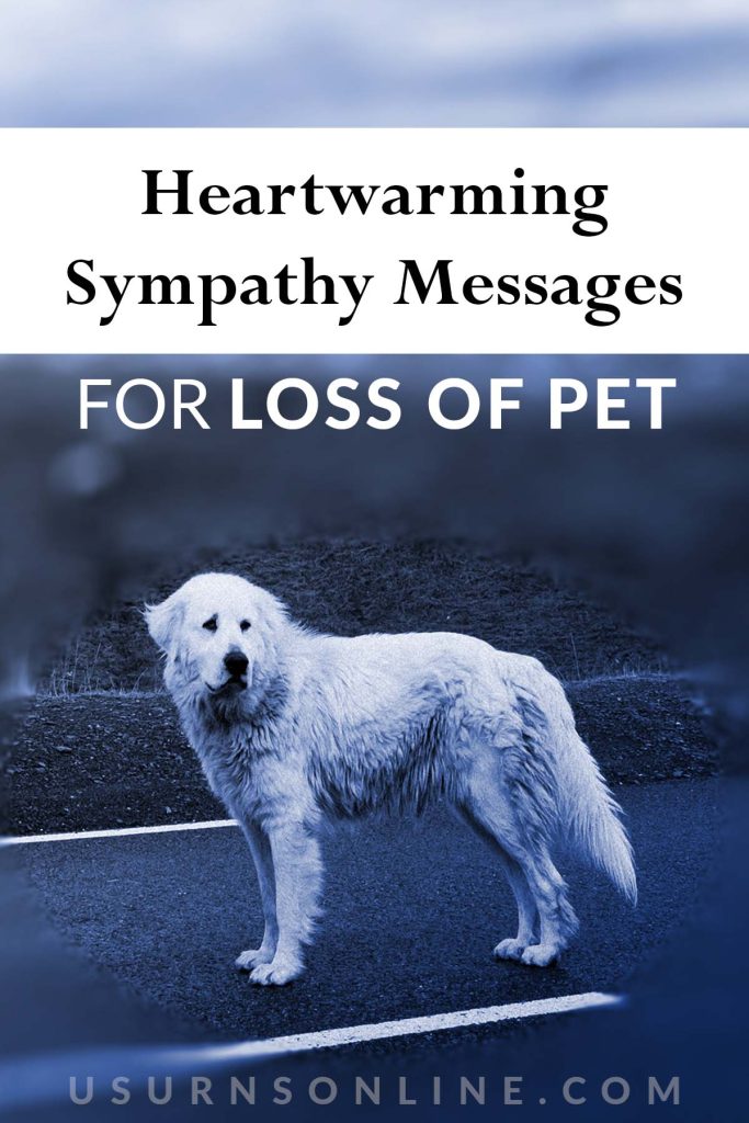 sympathy messages for loss of pet - Pin It Image