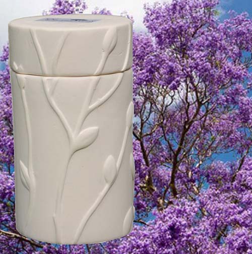 Keeping Cremated Remains at Home - Plant the remains to grow a tree