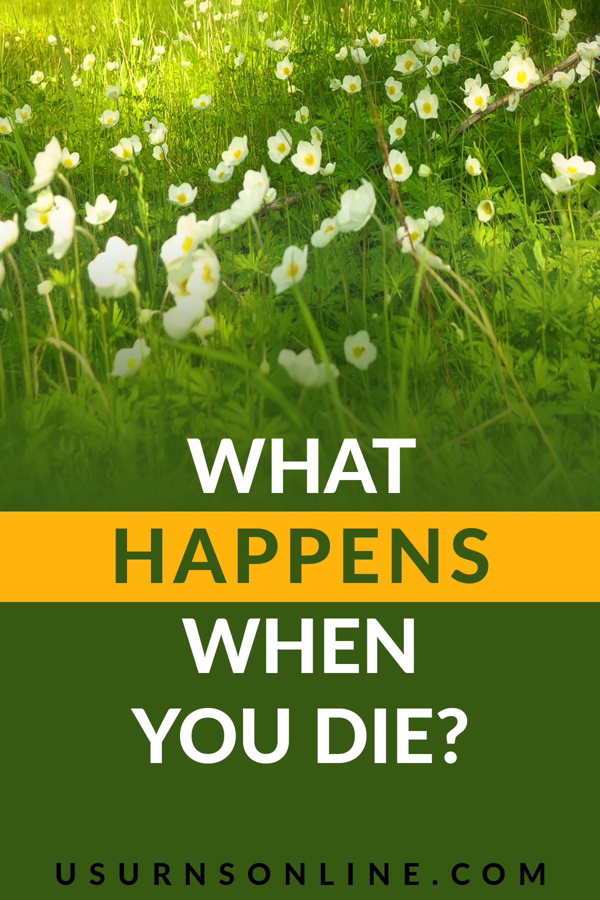 What Happens When You Die? 10 Things to Know » Urns | Online