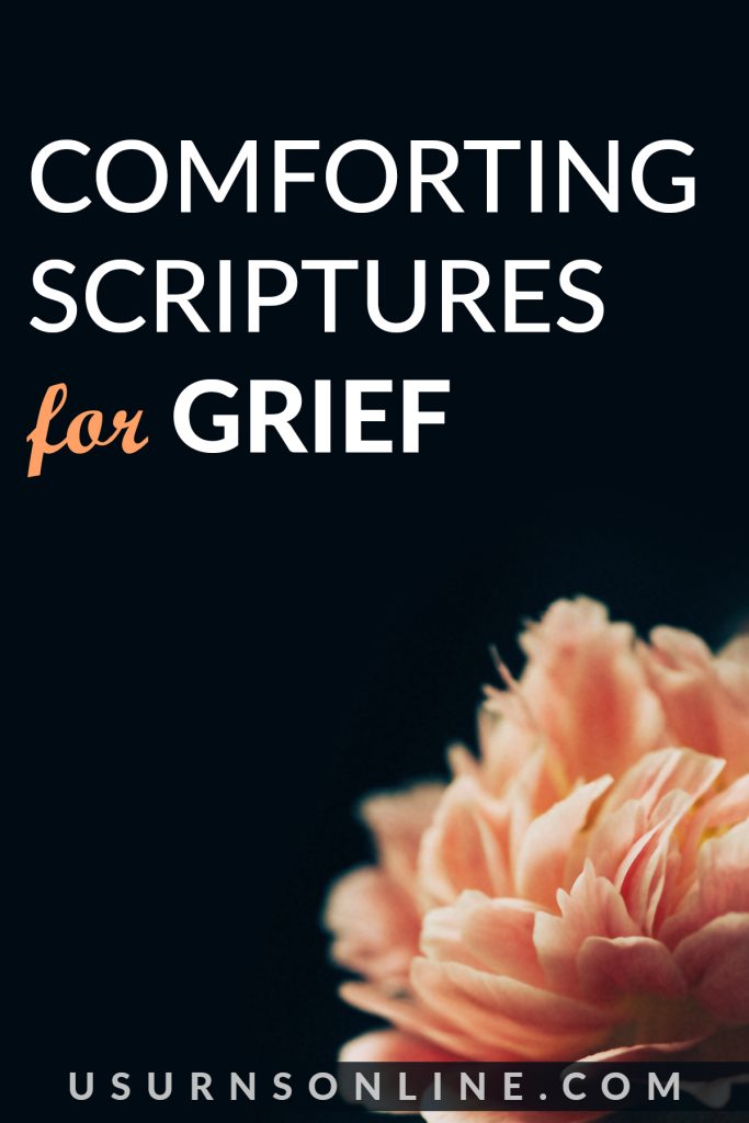 bible verses for grief - pin it image