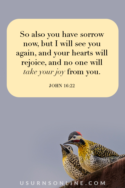 comforting bible verses: So also you have sorrow now – John 16:22