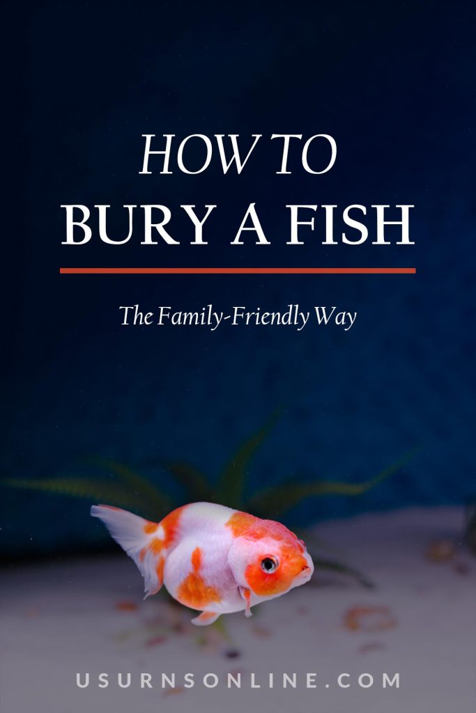 how to bury a fish - feature image