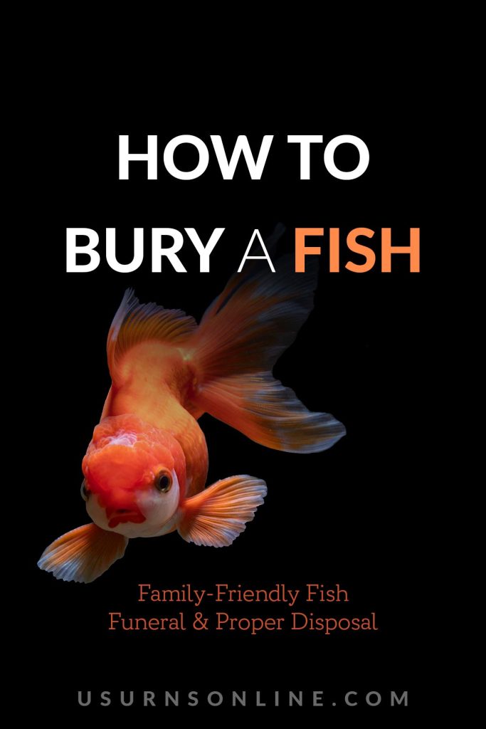 how to bury a fish - pin it image