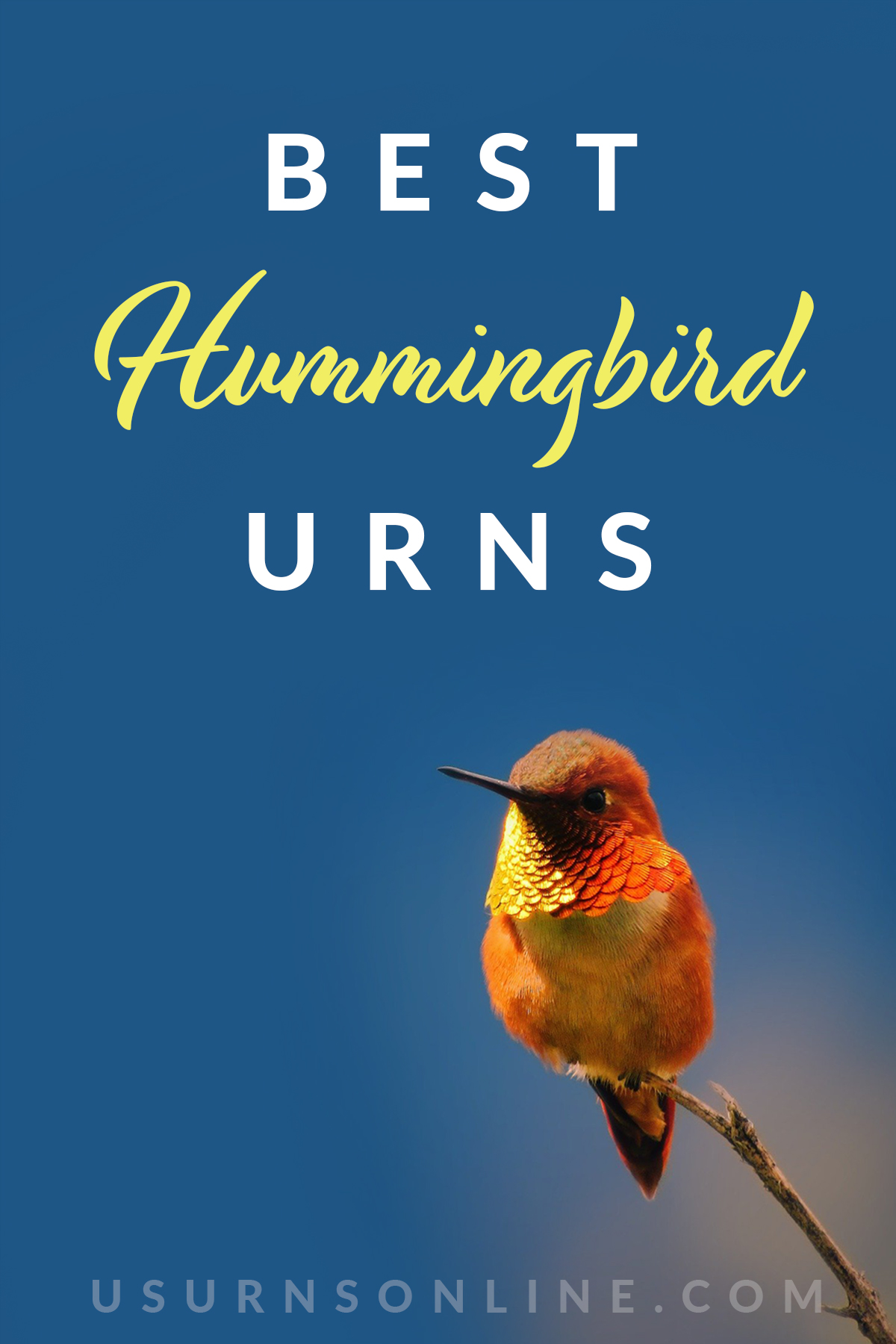 hummingbird cremation urns - Feature image